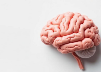Age Rewrites the Brain Rules of Early Multiple Sclerosis, Five-Year Study Finds