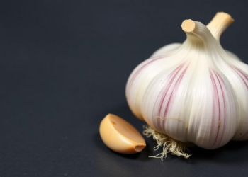 Garlic compound reduces uterine fibroid cell viability in culture