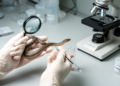 First female Achalinus sheni identified through DNA and scale analysis