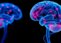 Research report: Toward objective brain monitoring of cancer-related cognitive impairment: an extracellular vesicle–based conceptual framework