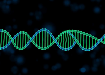 Single case links deep intronic MFSD8 variant to CLN7 disease