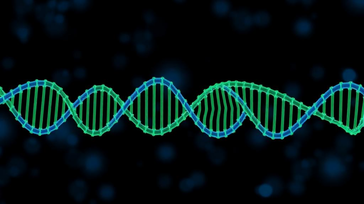 Single case links deep intronic MFSD8 variant to CLN7 disease