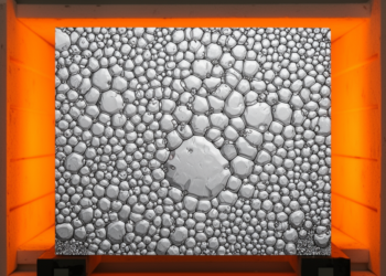 Nitrogen-Containing High-Entropy Alloy Reveals Temperature-Shaped Microstructural Recovery