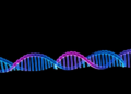 mRNA Vaccine Paired With Radiotherapy Shrinks HER2-Positive Lung Tumors in Mice