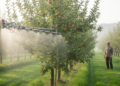 Research report: Spatiotemporal optimization of micro spray mist: effects on growth physiology in apple trees and comprehensive evaluation