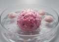 Lab study links neurokinin receptor blockers to reduced breast cancer cell viability