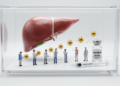 Model projects hepatitis B infections rise under delayed vaccination policies