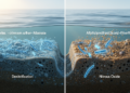 Research report: Different paths, same destination: similar benthic nitrogen cycling sustained by distinct biogeochemical mechanisms in artificialized coastal systems