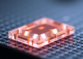 Lithium niobate sensor achieves uncooled microsecond optomechanical readout