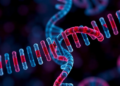 Chemical Tag on mRNA Emerges as Master Switch Behind Tumor Immune Evasion
