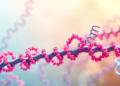 Protein neddylation: substrate landscape and target modulators