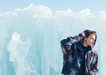 Frozen Giants, Tiny Tweaks: Lightweight Adaptation Boosts Fashion Image Search