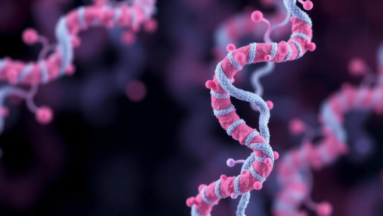 PROBE benchmark exposes gaps in AI protein-function annotation