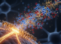 Methamphetamine and fentanyl together may amplify addiction-related effects