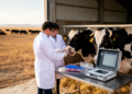 Pathogen seasonality and genetics in dairy cattle at an Inner Mongolia farm
