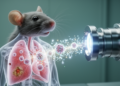 Interferon-beta signaling drives radiation lung injury in mice
