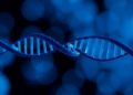 Barcode-Based Mutagenesis Assay Reveals Strand-Bias Rules Behind Oxidative DNA Damage