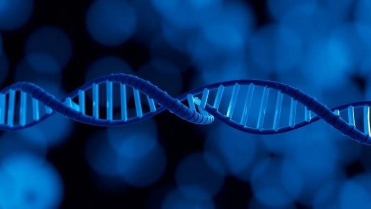 Barcode-Based Mutagenesis Assay Reveals Strand-Bias Rules Behind Oxidative DNA Damage