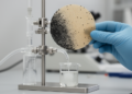 Lab study tests magnetic Fe3O4 chitosan membrane for isopropanol dehydration