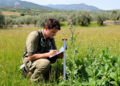 Field records update native and alien vascular flora across Italy