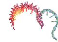 First Mosaic Case Rewrites the Genetic Story of a Rare Overgrowth Syndrome