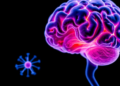 Gut Microbes May Shape Glioblastoma Immunity, But Evidence Falls Short of Proof