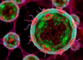 A Lipid Dial May Decide Whether Bile Duct Cancer Cells Live or Die by Ferroptosis