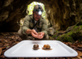 Carajás cave survey reveals two new land-snail species