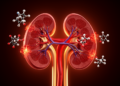 Oxidized homocysteine associated with methotrexate-linked kidney injury