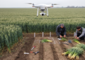 Fused UAV data improve winter wheat biomass estimates in two-season field study
