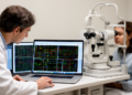 Metformin Leaves No Robust Gene Signature in Small AMD Trial