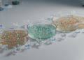 Cumulative SecA mutations strengthen azide selection in an E. coli prototype