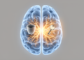 Working-memory signal changes sides as remembered objects cross the midline