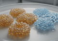 Mouse Acinar Organoids Reveal Stage-Specific Control of Cell Plasticity
