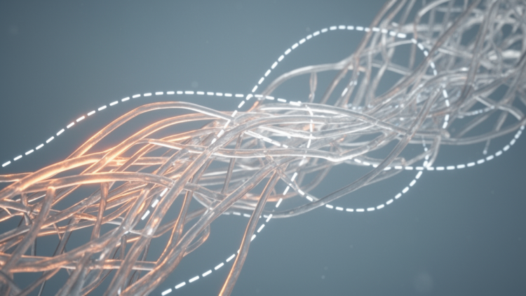 Simulation and experiments link electrospinning parameters to cellulose acetate nanofiber morphology