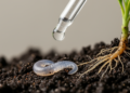 Conserved β-tubulin as a target of ivermectin in plant-parasitic nematodes: molecular modelling and experimental protection of potato