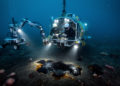 Deep-Gulf life remains depleted 16 years after oil spill
