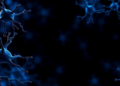 Two Years of Ofatumumab Reshapes the Immune Landscape in Multiple Sclerosis