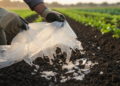 Review maps degradation and property changes in biodegradable polymer mulch films