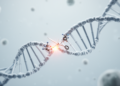 Review maps CRISPR-Cas9 advances in editing precision, delivery and therapeutic applications