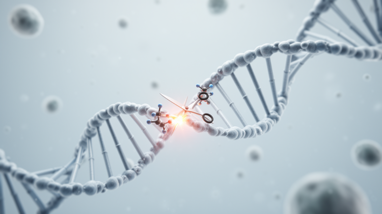 Review maps CRISPR-Cas9 advances in editing precision, delivery and therapeutic applications