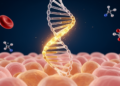 Case-control study links VEGFA rs833061 variants with bladder cancer and serum YKL-40