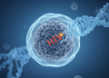 Defective HIV proviruses reprogram T cells at selected integration sites