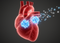 Study of human datasets, Ang II-treated mice and cardiomyocytes links altered DRD1 to atrial fibrillation-related stress
