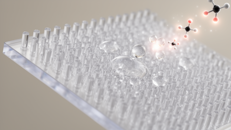 Silver-decorated polycarbonate combines superhydrophobicity with enhanced SERS activity