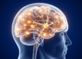 Cross-sectional study links etomidate use disorder with impulsivity and altered EEG microstates