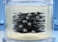 Sulfur-vacancy SnS2–MXene prototype reaches 58.33 Wh kg−1