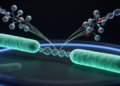 The application of the CRISPR-Cas system in Pseudomonas aeruginosa infections