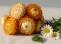 Comparative chloroplast genomics of Gnaphalieae (Asteraceae)