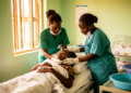 Qualitative study identifies barriers and facilitators of clinical midwifery teaching in northern Malawi
